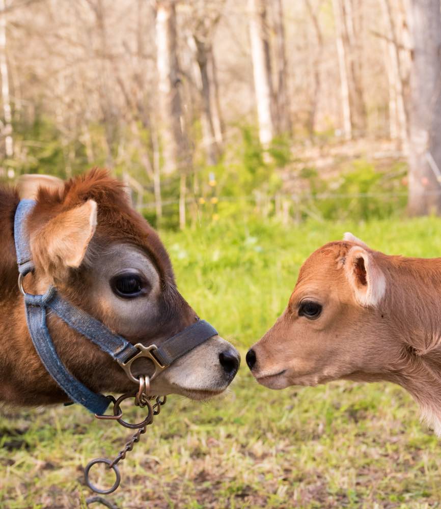 placeholder image-sq